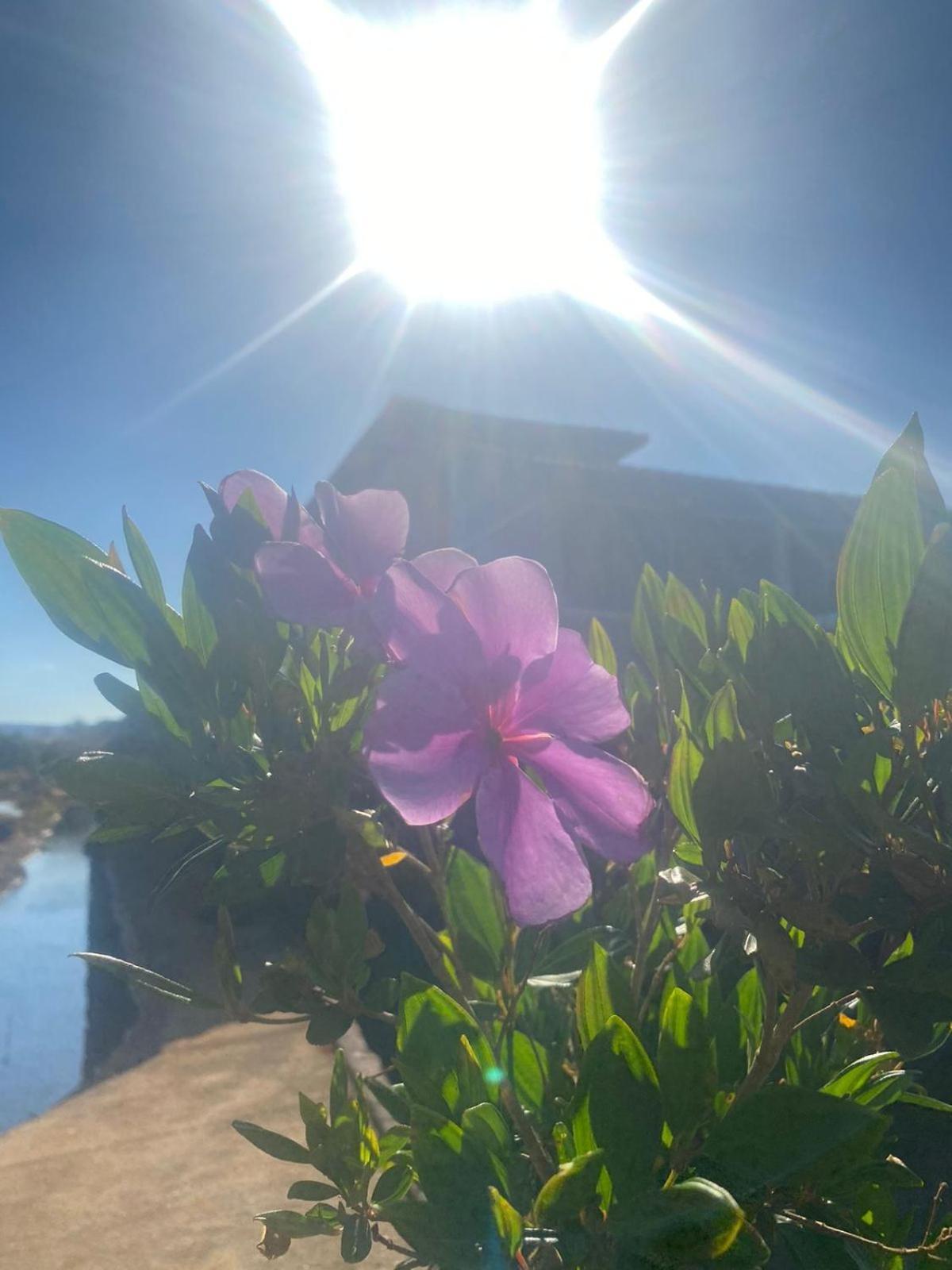 Chacara Paraiso Recanto Do Sol