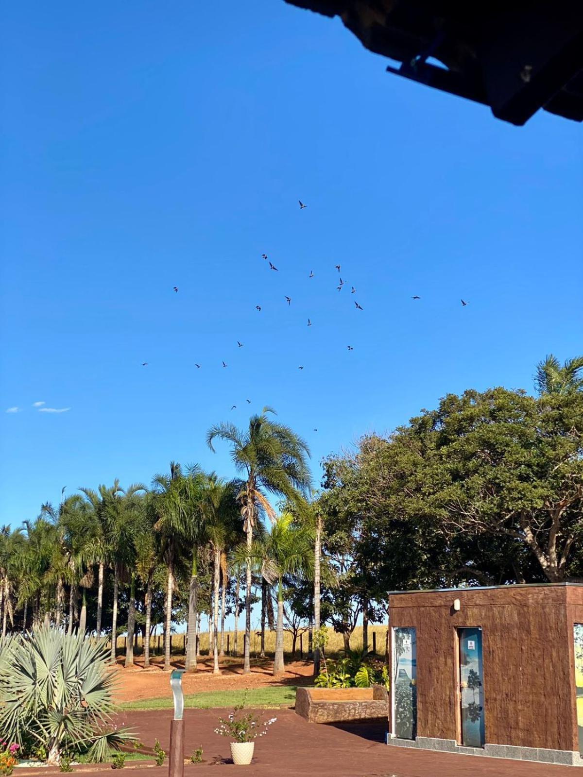 Chacara Paraiso Recanto Do Sol Casa de férias *
