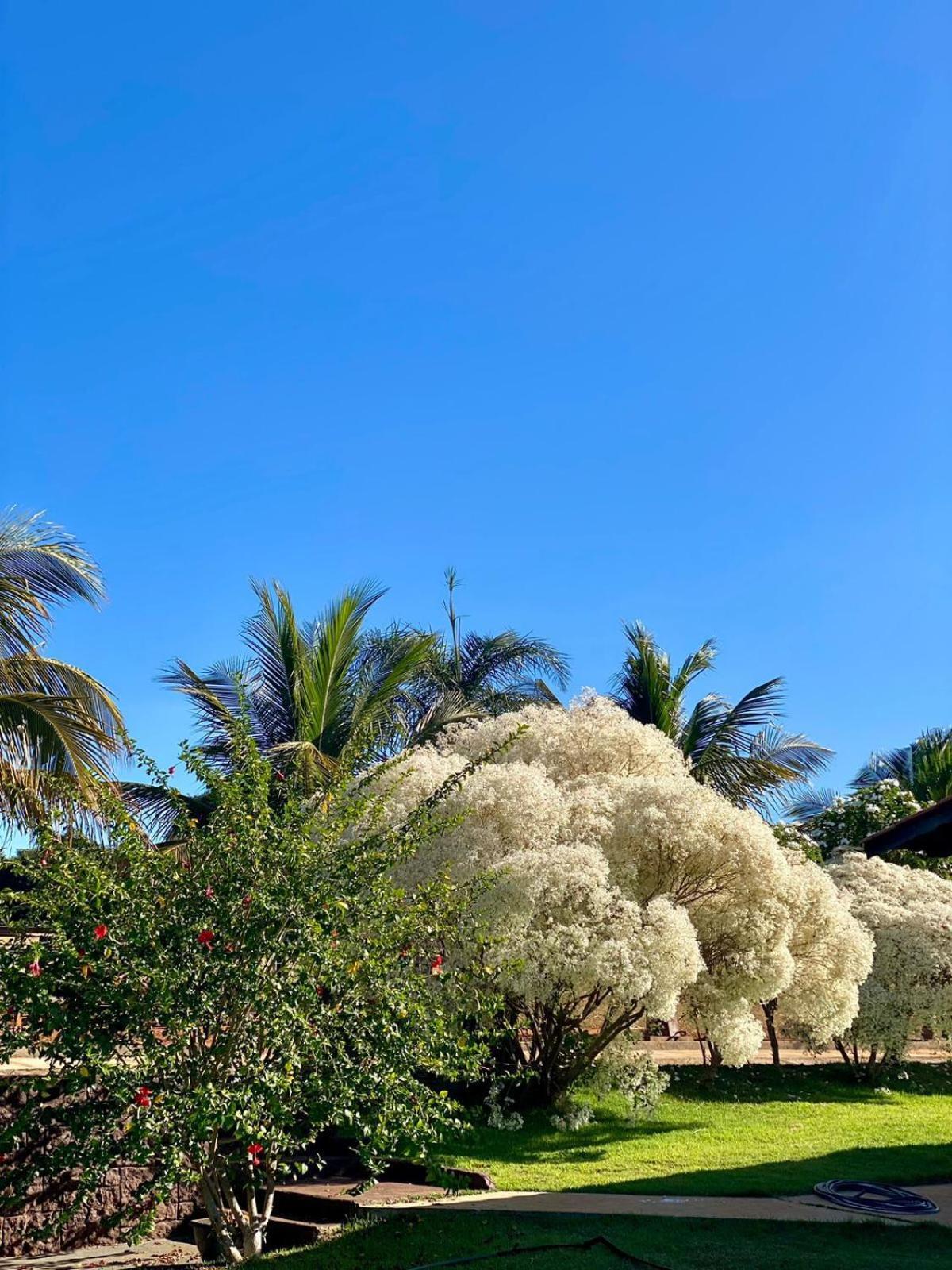 Chacara Paraiso Recanto Do Sol Caldas Novas